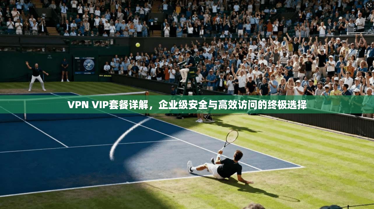 VPN VIP套餐详解，企业级安全与高效访问的终极选择