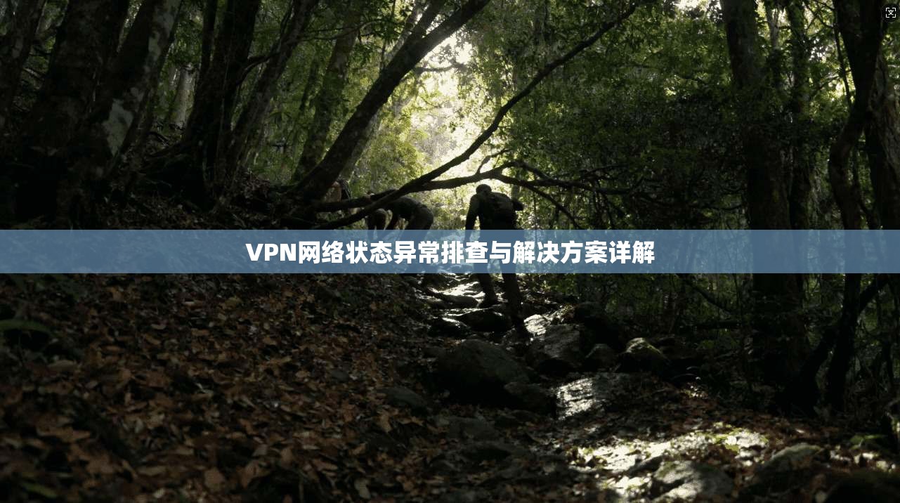 VPN网络状态异常排查与解决方案详解