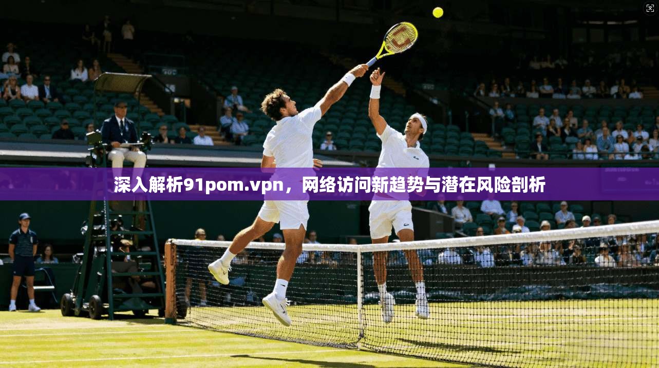 深入解析91pom.vpn，网络访问新趋势与潜在风险剖析