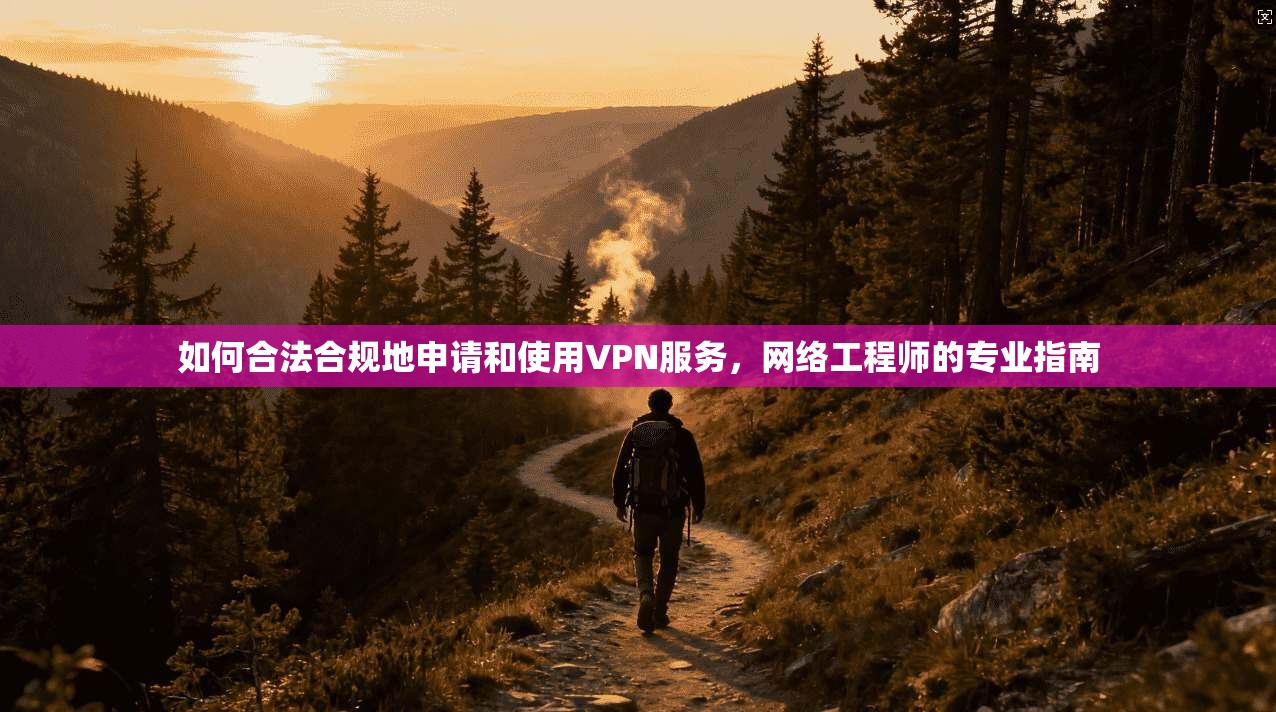 如何合法合规地申请和使用VPN服务，网络工程师的专业指南