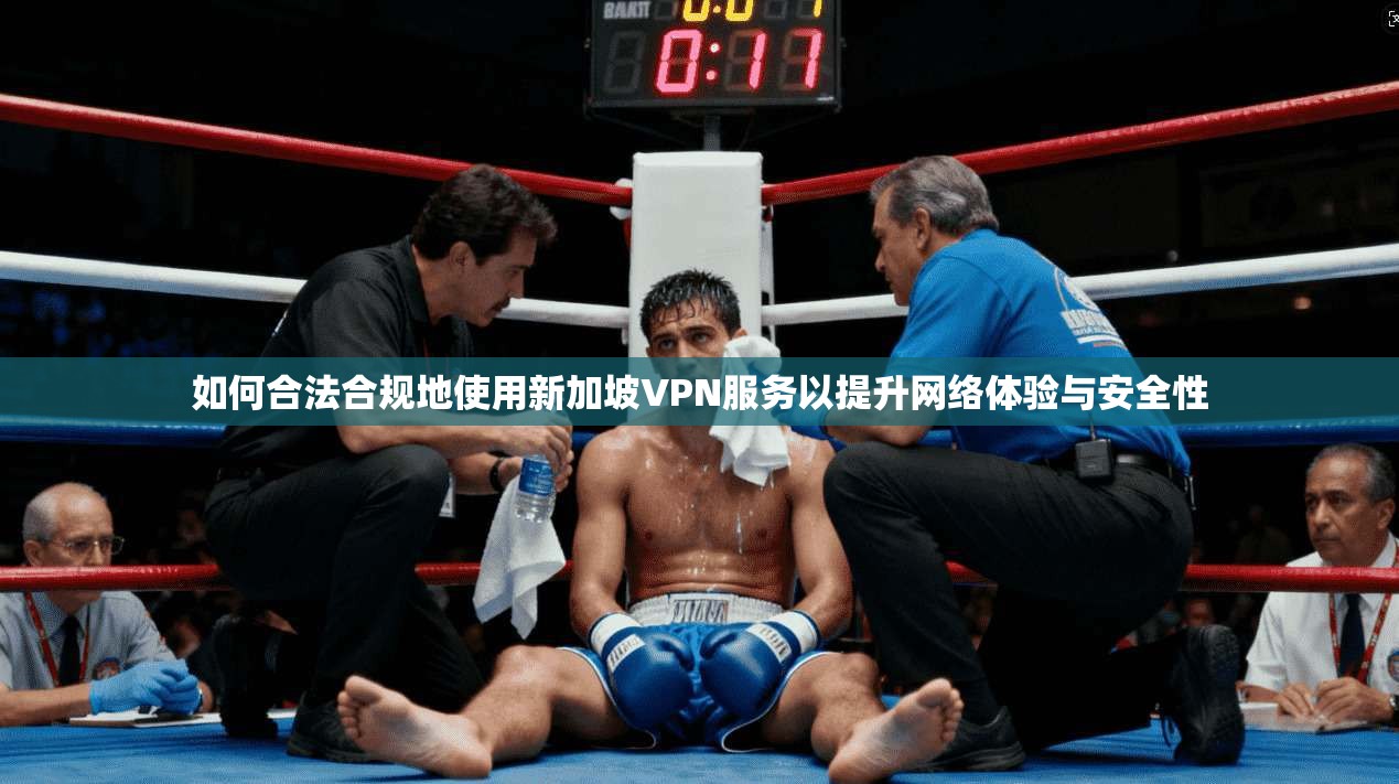 如何合法合规地使用新加坡VPN服务以提升网络体验与安全性