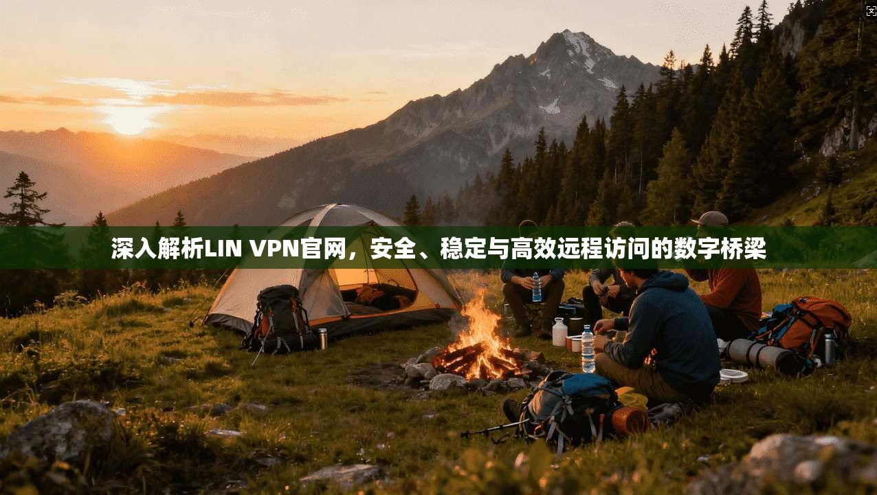 深入解析LIN VPN官网，安全、稳定与高效远程访问的数字桥梁