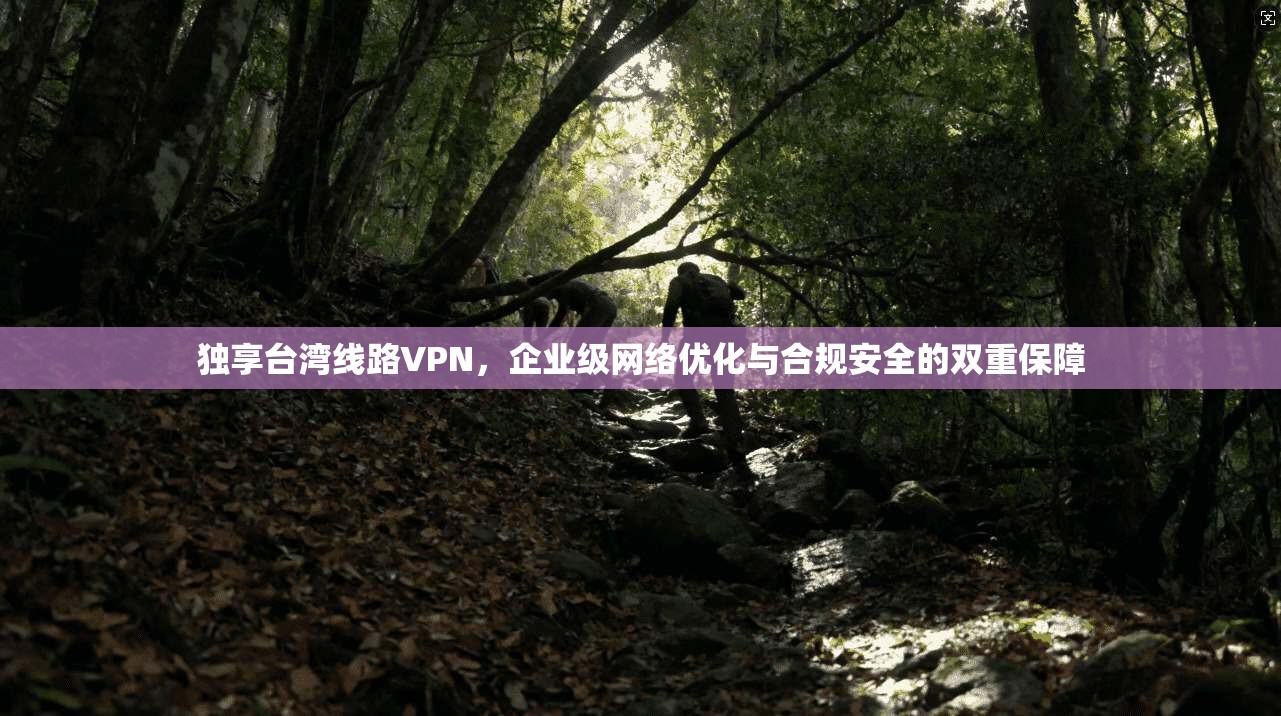 独享台湾线路VPN，企业级网络优化与合规安全的双重保障