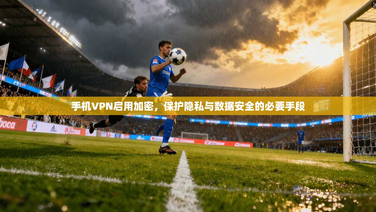 手机VPN启用加密，保护隐私与数据安全的必要手段