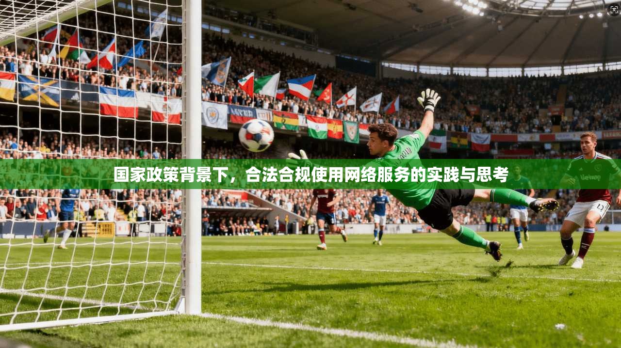 国家政策背景下，合法合规使用网络服务的实践与思考