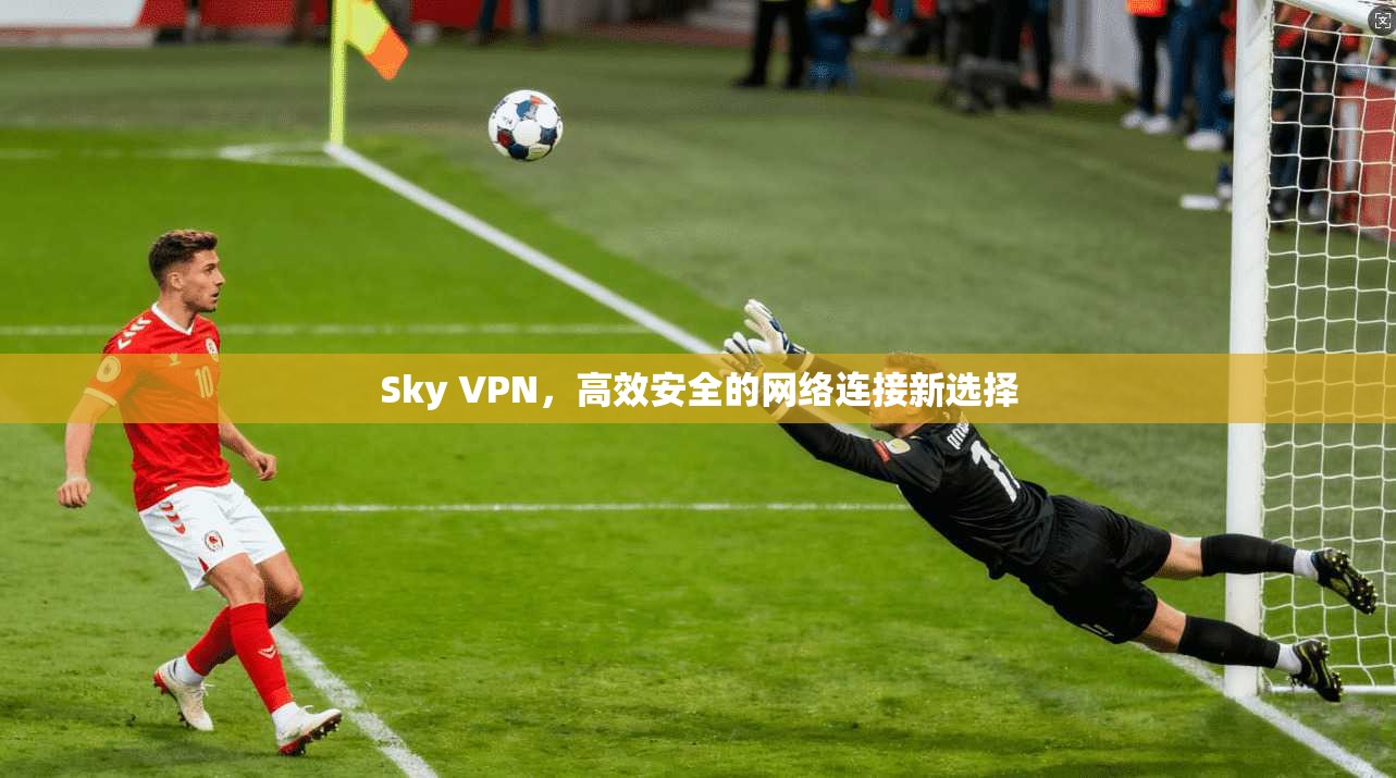 Sky VPN，高效安全的网络连接新选择