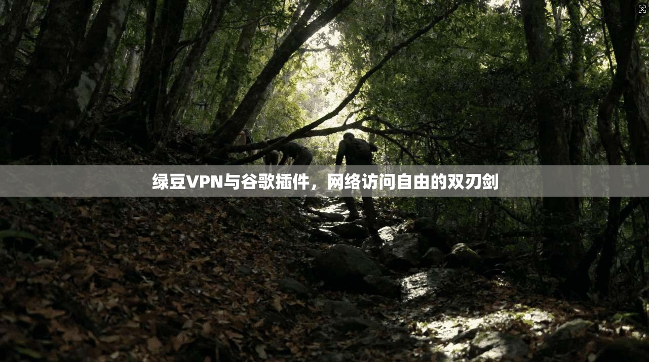 绿豆VPN与谷歌插件，网络访问自由的双刃剑