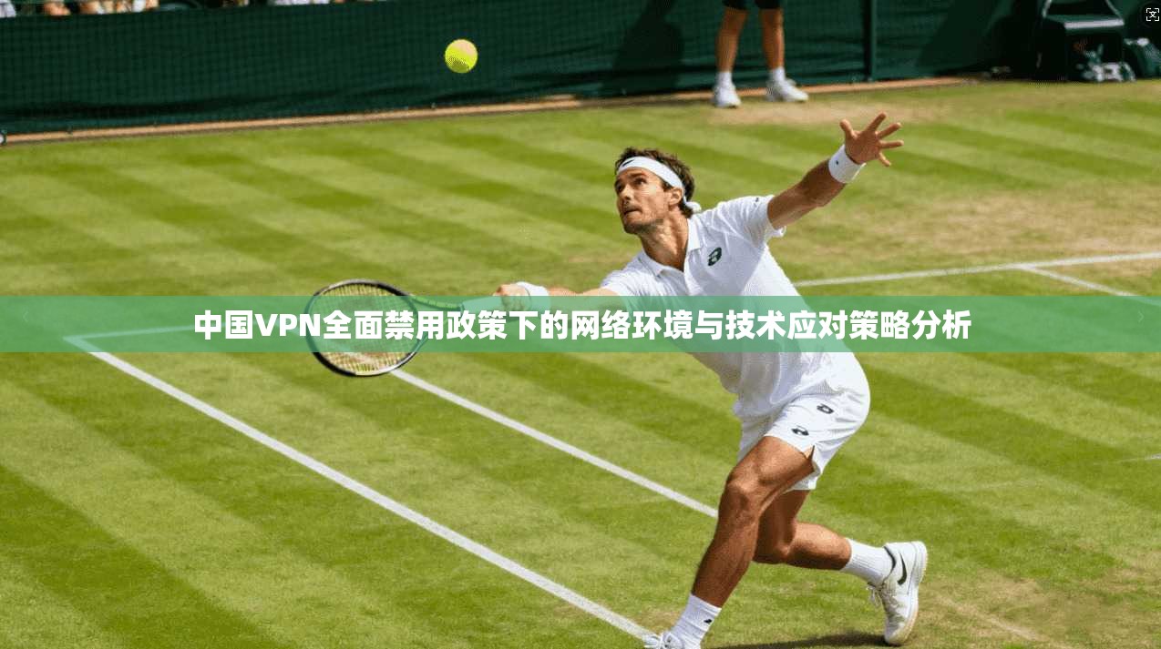 中国VPN全面禁用政策下的网络环境与技术应对策略分析