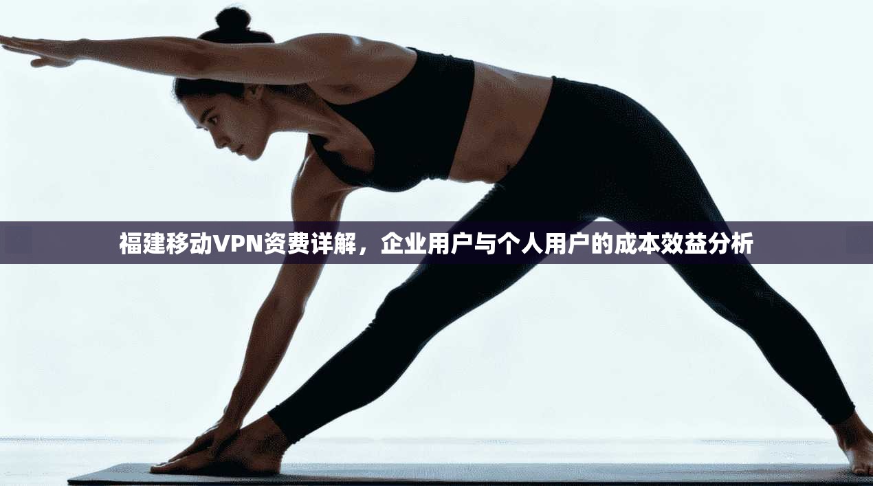 福建移动VPN资费详解，企业用户与个人用户的成本效益分析