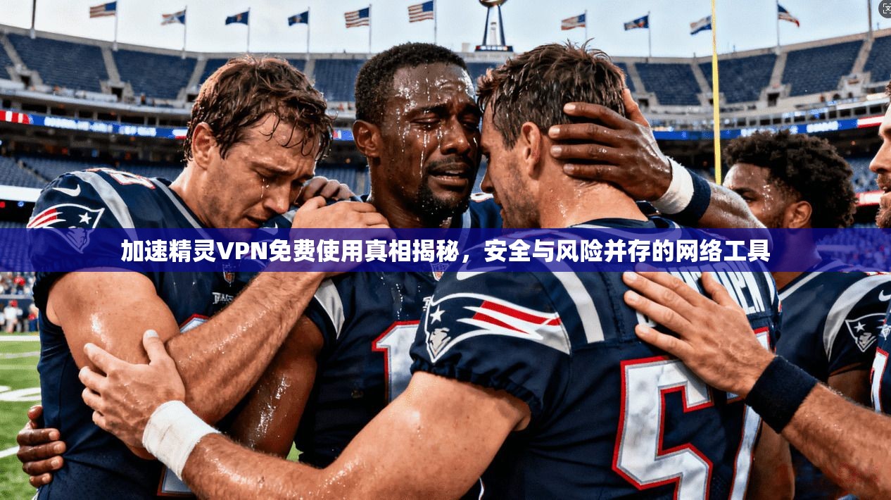 加速精灵VPN免费使用真相揭秘，安全与风险并存的网络工具