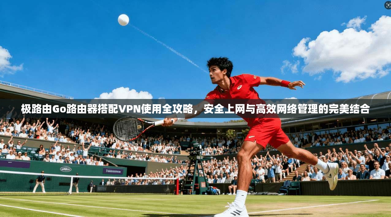 极路由Go路由器搭配VPN使用全攻略，安全上网与高效网络管理的完美结合