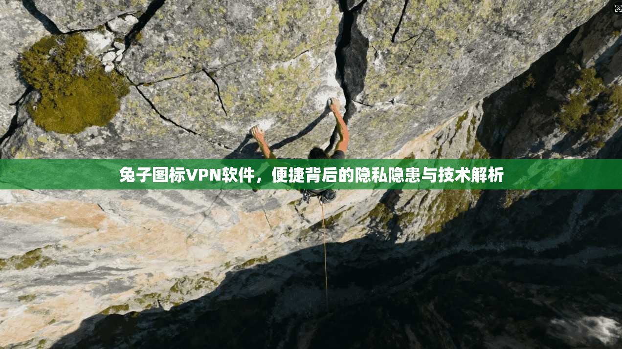 兔子图标VPN软件，便捷背后的隐私隐患与技术解析