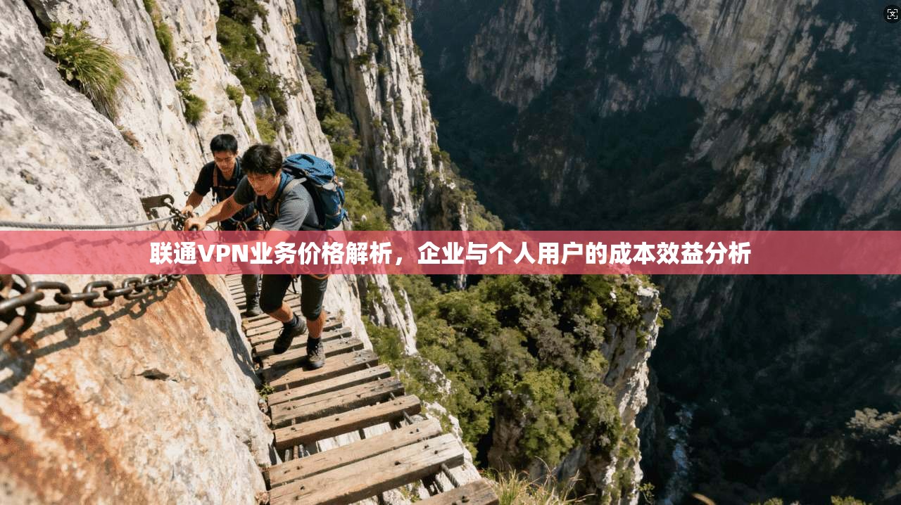 联通VPN业务价格解析，企业与个人用户的成本效益分析