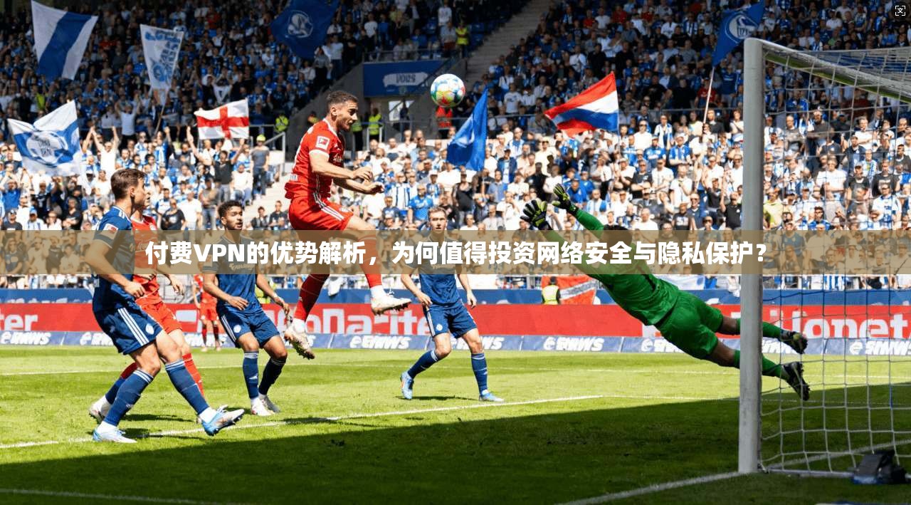 付费VPN的优势解析，为何值得投资网络安全与隐私保护？