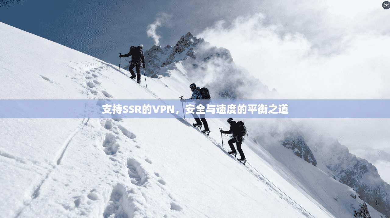 支持SSR的VPN，安全与速度的平衡之道