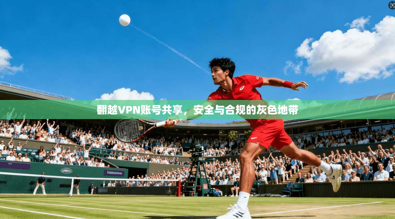 翻越VPN账号共享，安全与合规的灰色地带