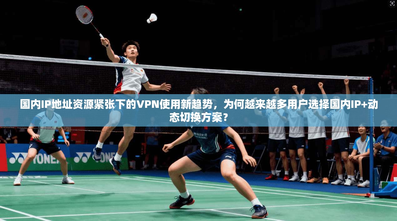 国内IP地址资源紧张下的VPN使用新趋势，为何越来越多用户选择国内IP+动态切换方案？