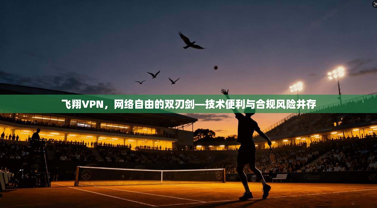 飞翔VPN，网络自由的双刃剑—技术便利与合规风险并存
