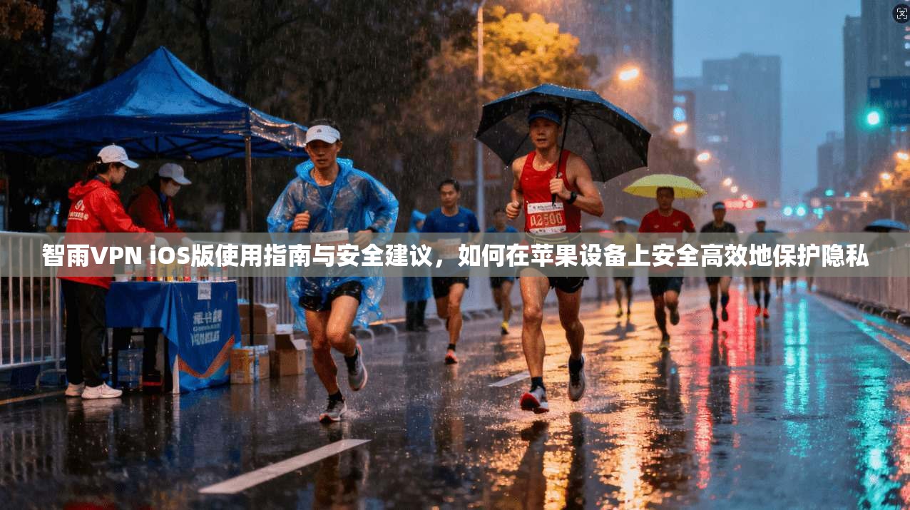智雨VPN iOS版使用指南与安全建议，如何在苹果设备上安全高效地保护隐私