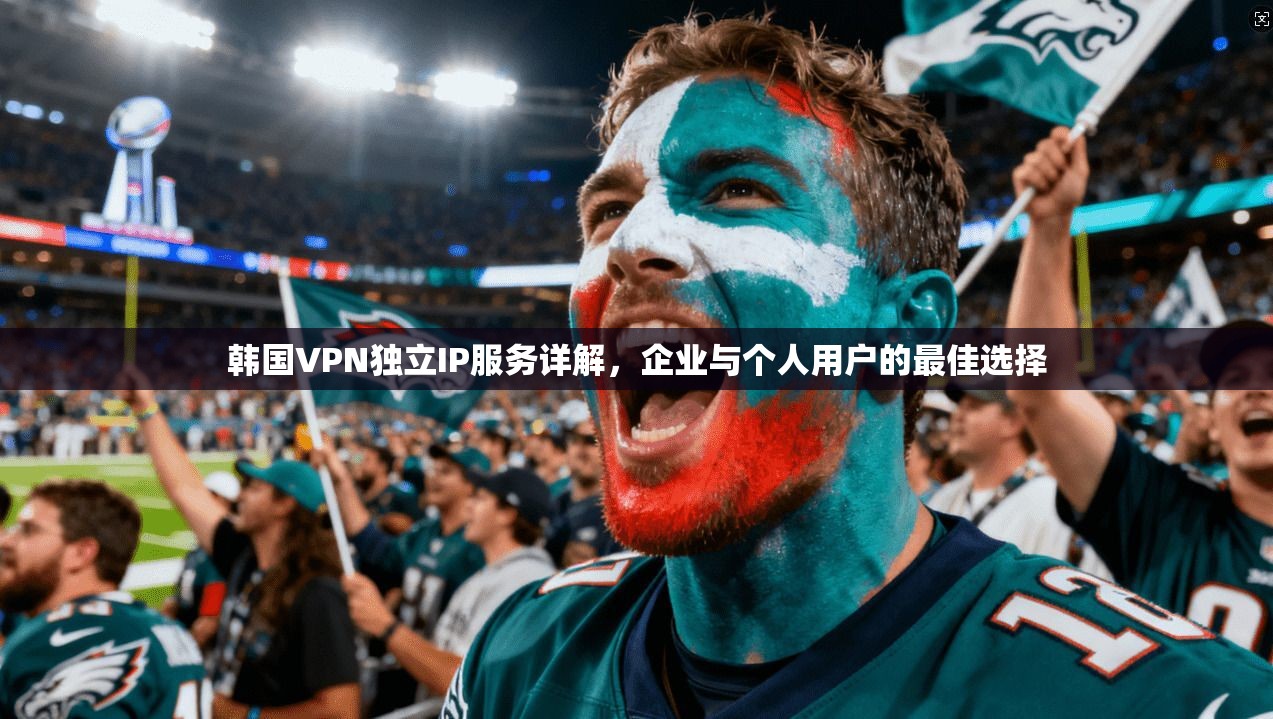 韩国VPN独立IP服务详解，企业与个人用户的最佳选择