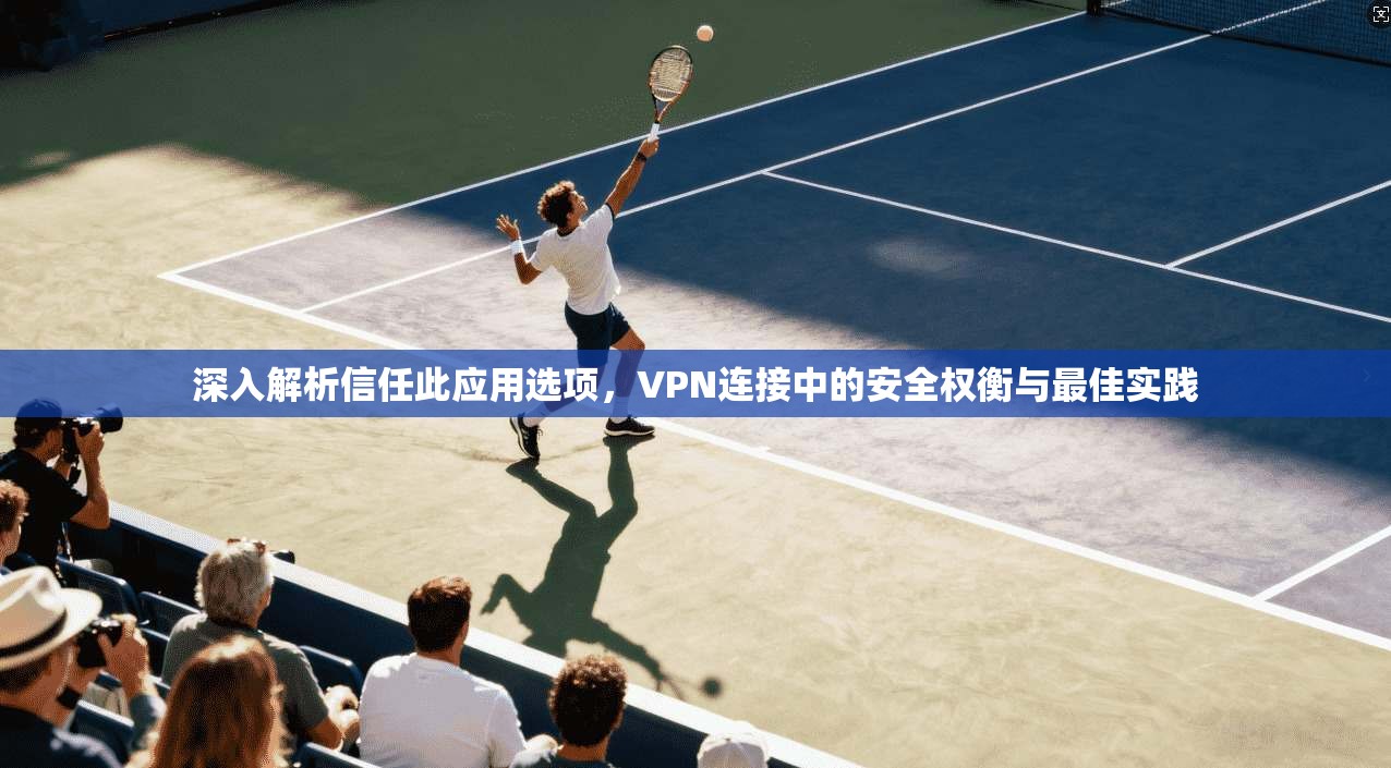 深入解析信任此应用选项，VPN连接中的安全权衡与最佳实践