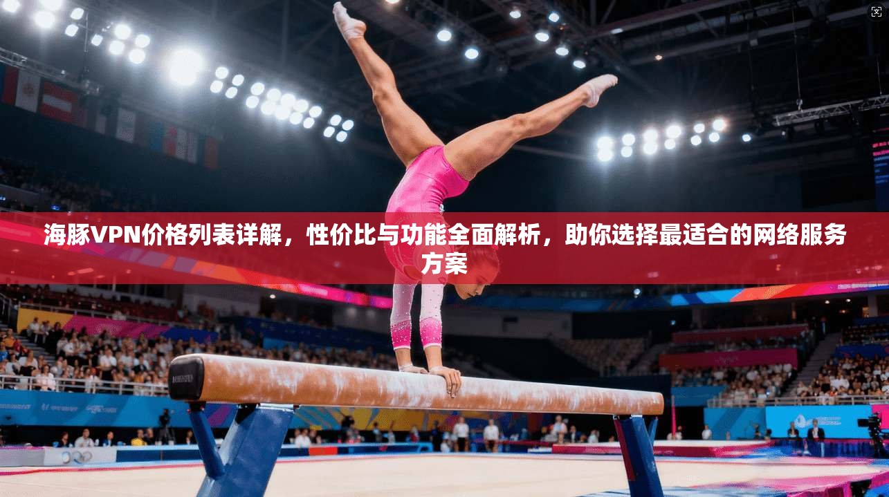 海豚VPN价格列表详解，性价比与功能全面解析，助你选择最适合的网络服务方案