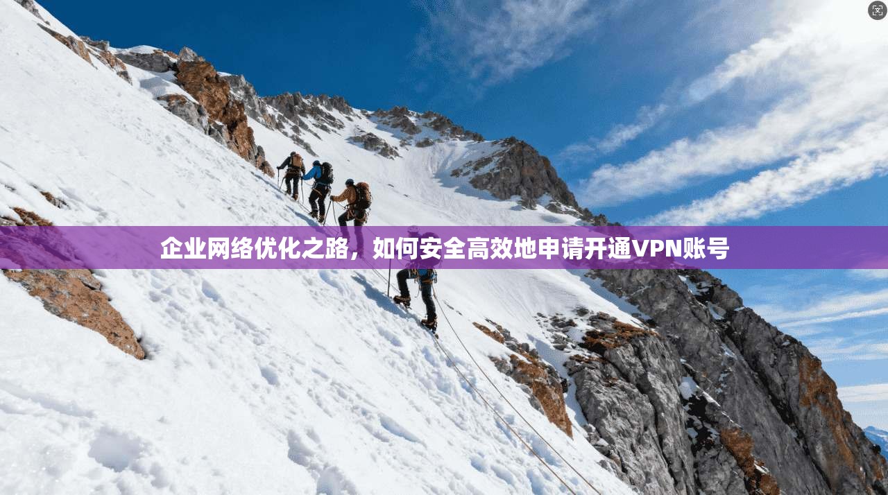 企业网络优化之路，如何安全高效地申请开通VPN账号