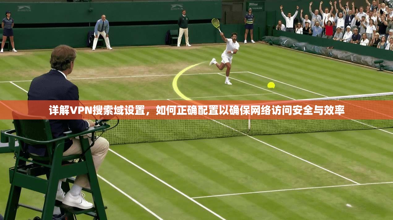 详解VPN搜索域设置，如何正确配置以确保网络访问安全与效率