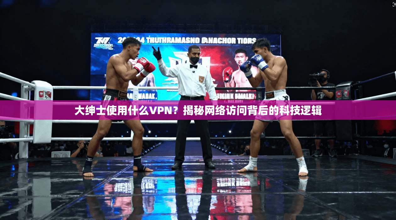 大绅士使用什么VPN？揭秘网络访问背后的科技逻辑