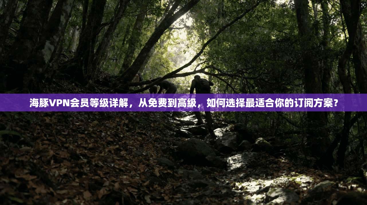 海豚VPN会员等级详解，从免费到高级，如何选择最适合你的订阅方案？