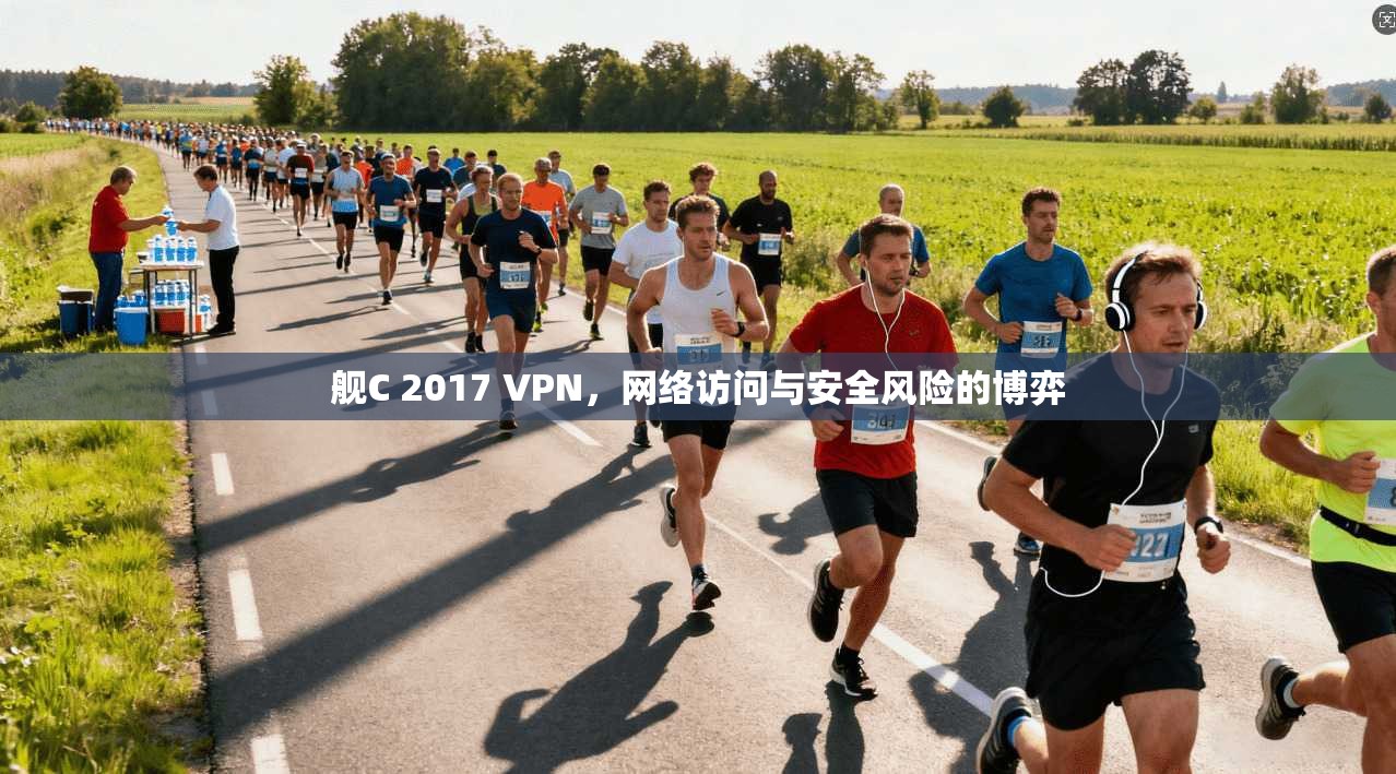 舰C 2017 VPN，网络访问与安全风险的博弈