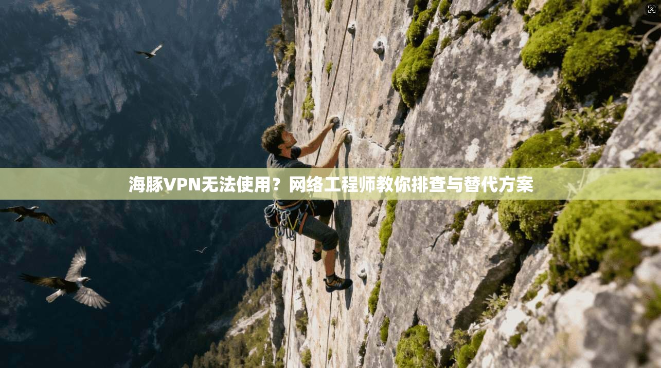 海豚VPN无法使用？网络工程师教你排查与替代方案