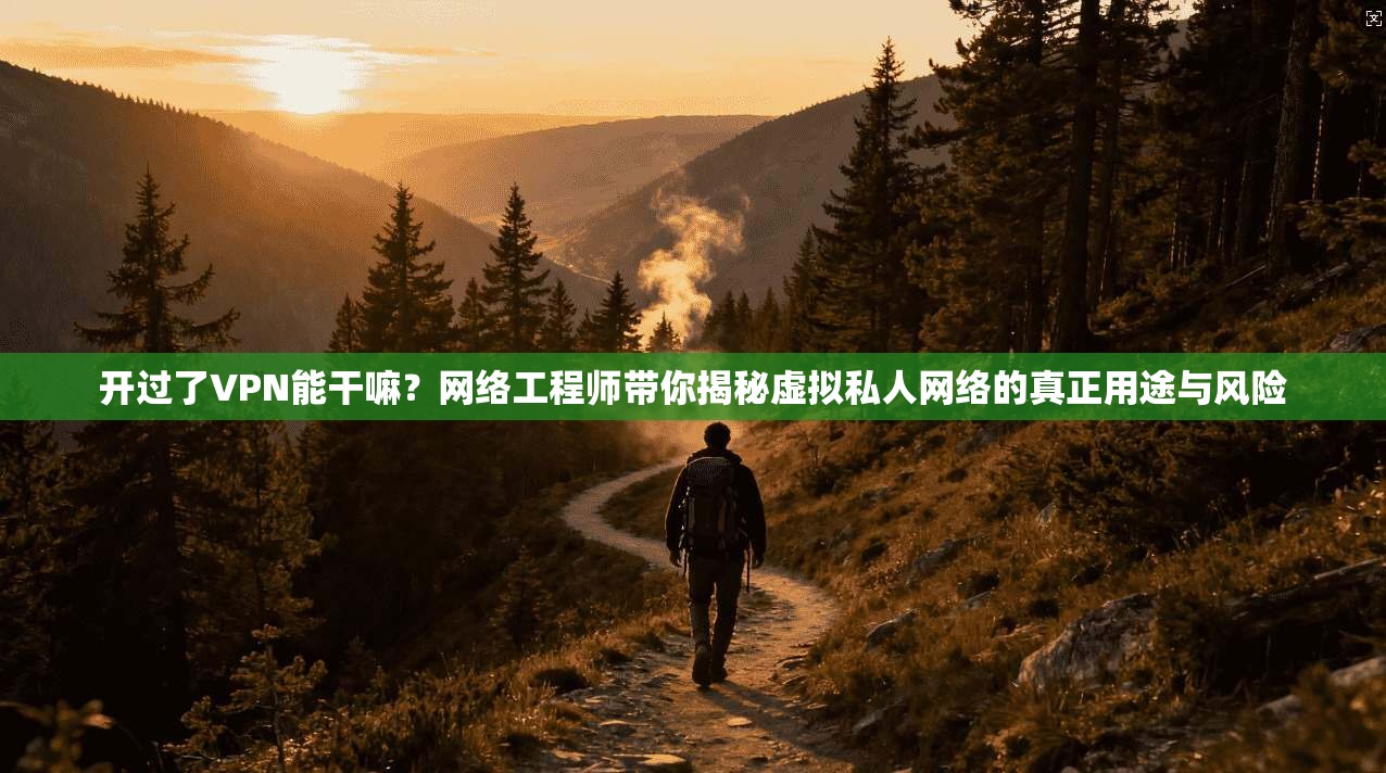 开过了VPN能干嘛？网络工程师带你揭秘虚拟私人网络的真正用途与风险