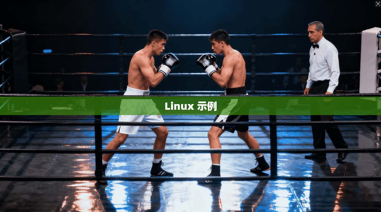 Linux 示例