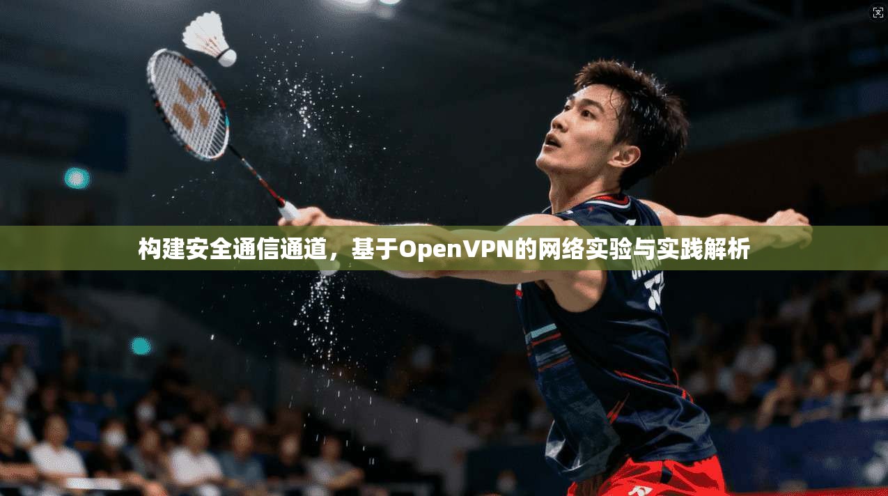 构建安全通信通道，基于OpenVPN的网络实验与实践解析
