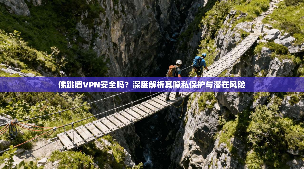 佛跳墙VPN安全吗？深度解析其隐私保护与潜在风险