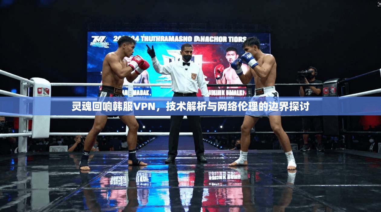 灵魂回响韩服VPN，技术解析与网络伦理的边界探讨