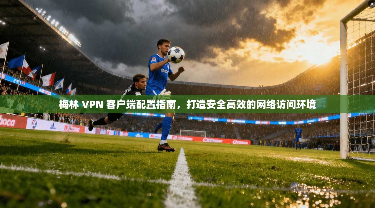 梅林 VPN 客户端配置指南，打造安全高效的网络访问环境