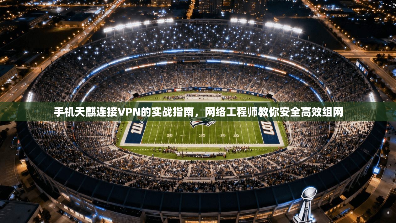 手机天麒连接VPN的实战指南，网络工程师教你安全高效组网
