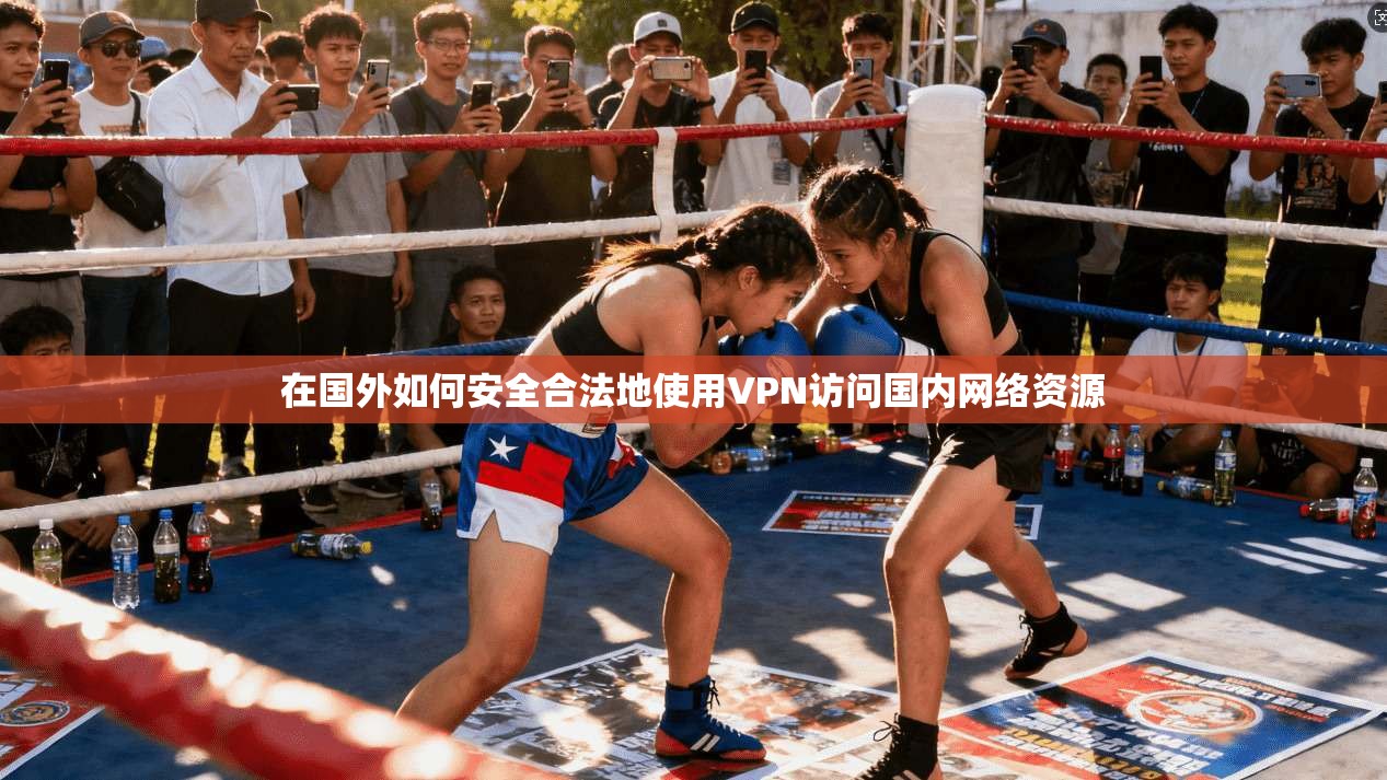 在国外如何安全合法地使用VPN访问国内网络资源