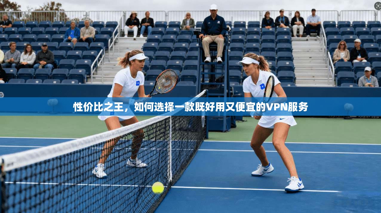 性价比之王，如何选择一款既好用又便宜的VPN服务