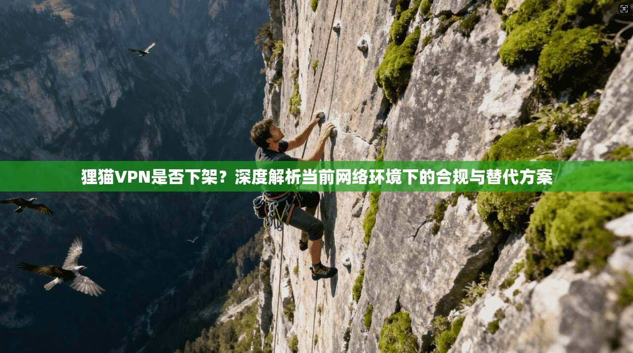 狸猫VPN是否下架？深度解析当前网络环境下的合规与替代方案