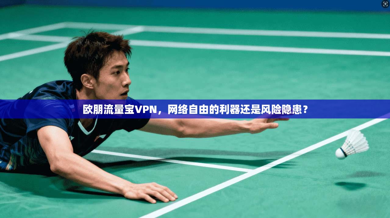 欧朋流量宝VPN，网络自由的利器还是风险隐患？