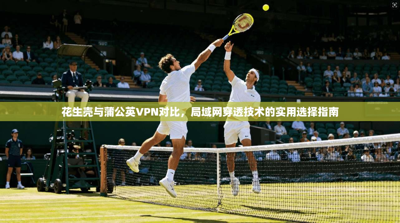 花生壳与蒲公英VPN对比，局域网穿透技术的实用选择指南