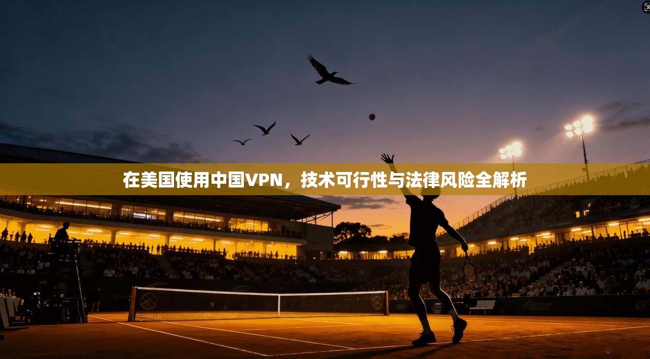 在美国使用中国VPN，技术可行性与法律风险全解析