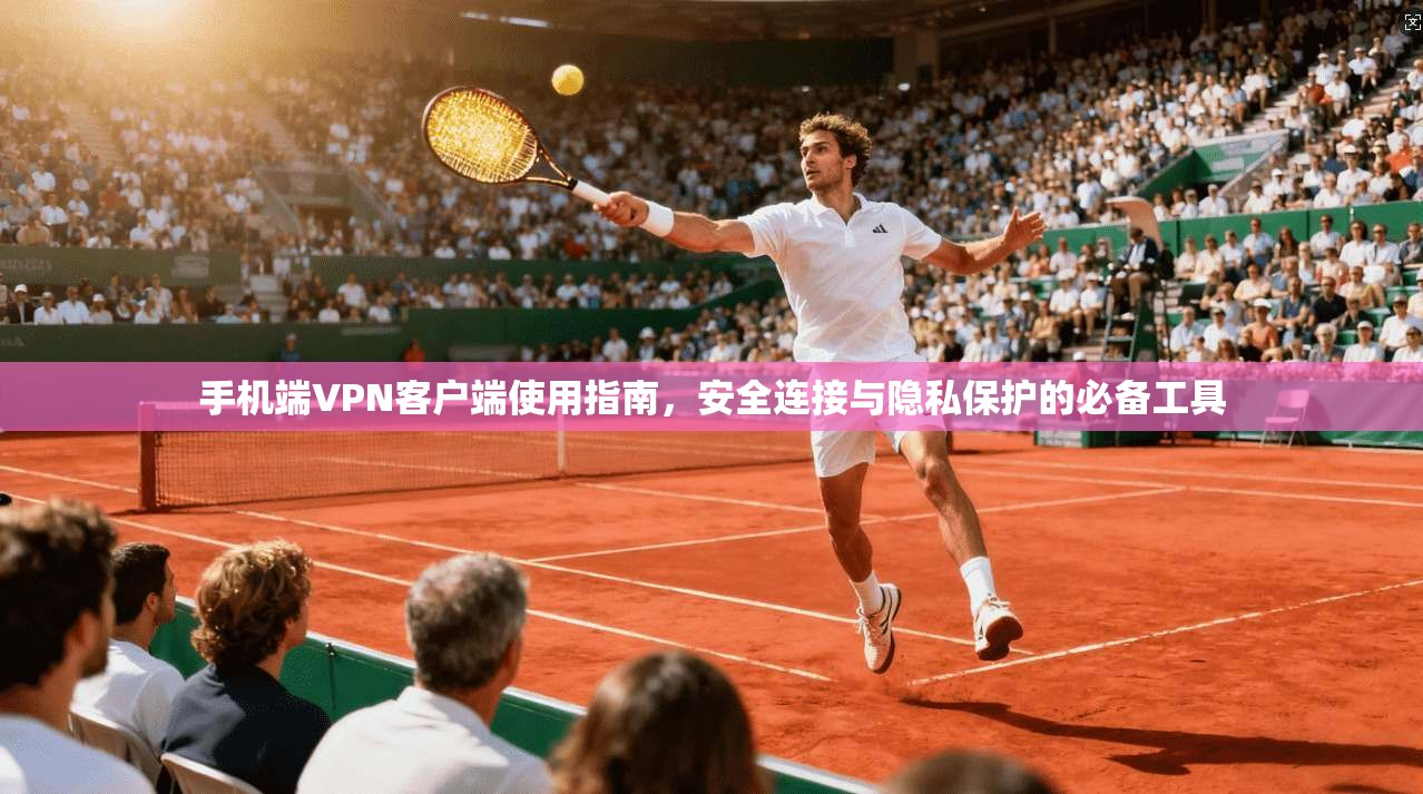手机端VPN客户端使用指南，安全连接与隐私保护的必备工具