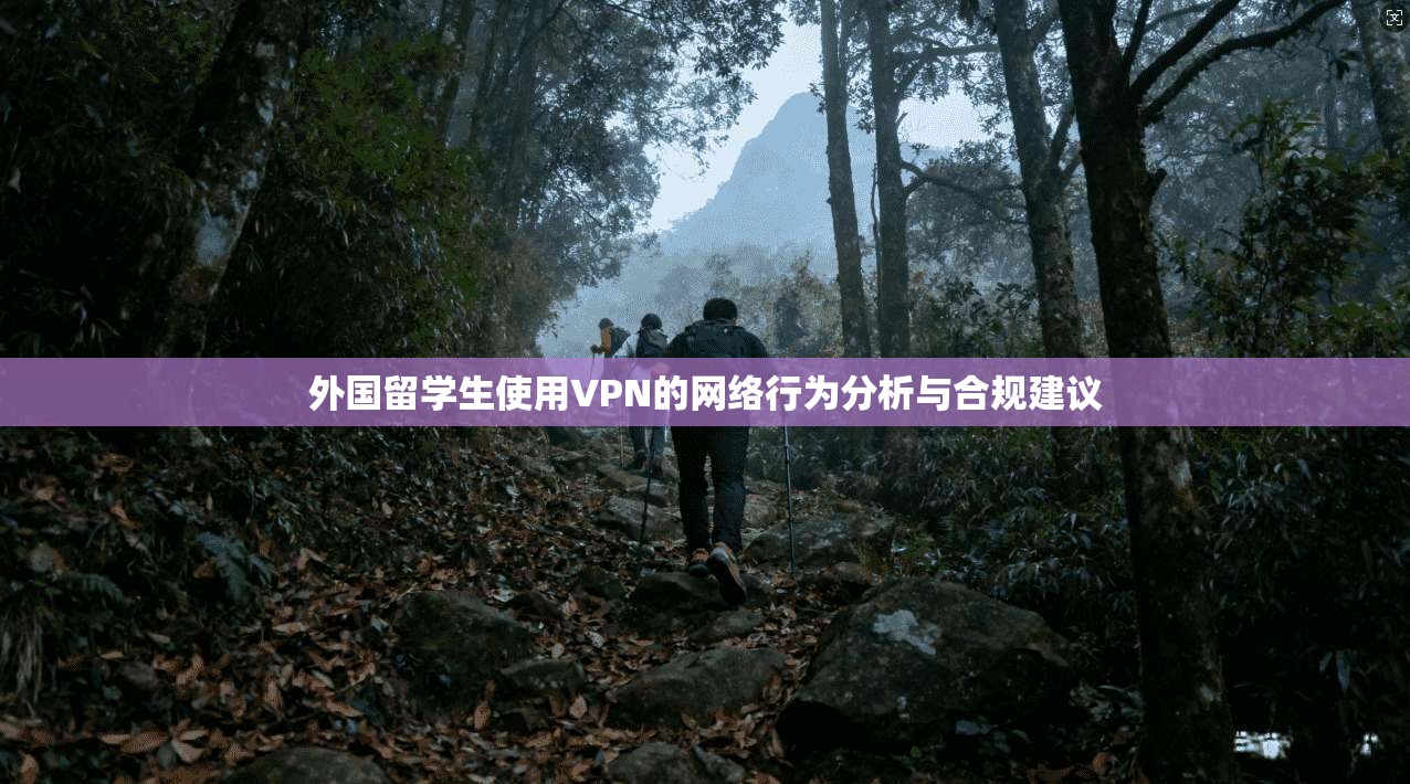 外国留学生使用VPN的网络行为分析与合规建议