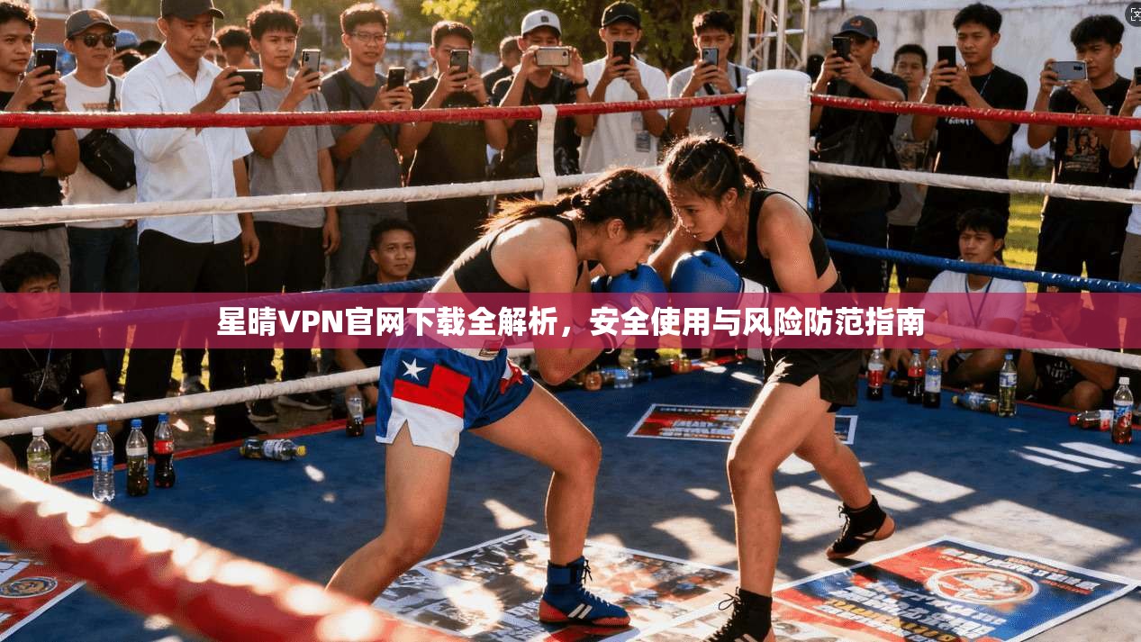 星晴VPN官网下载全解析，安全使用与风险防范指南