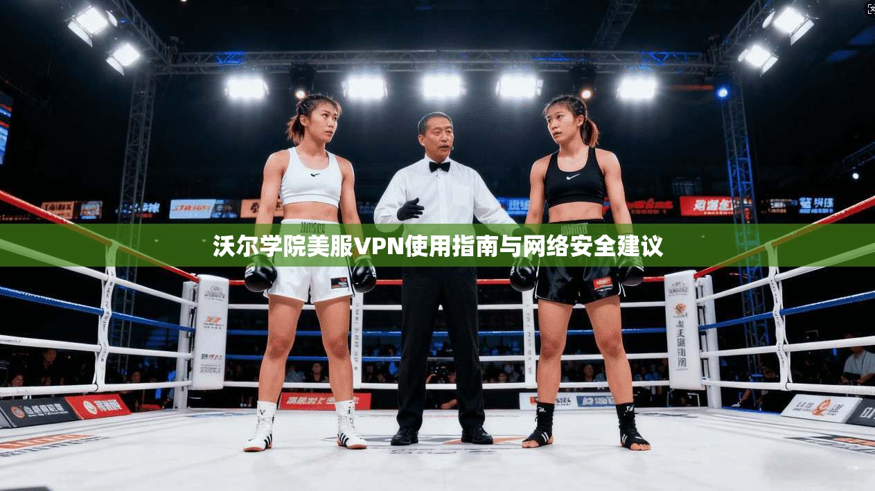 沃尔学院美服VPN使用指南与网络安全建议