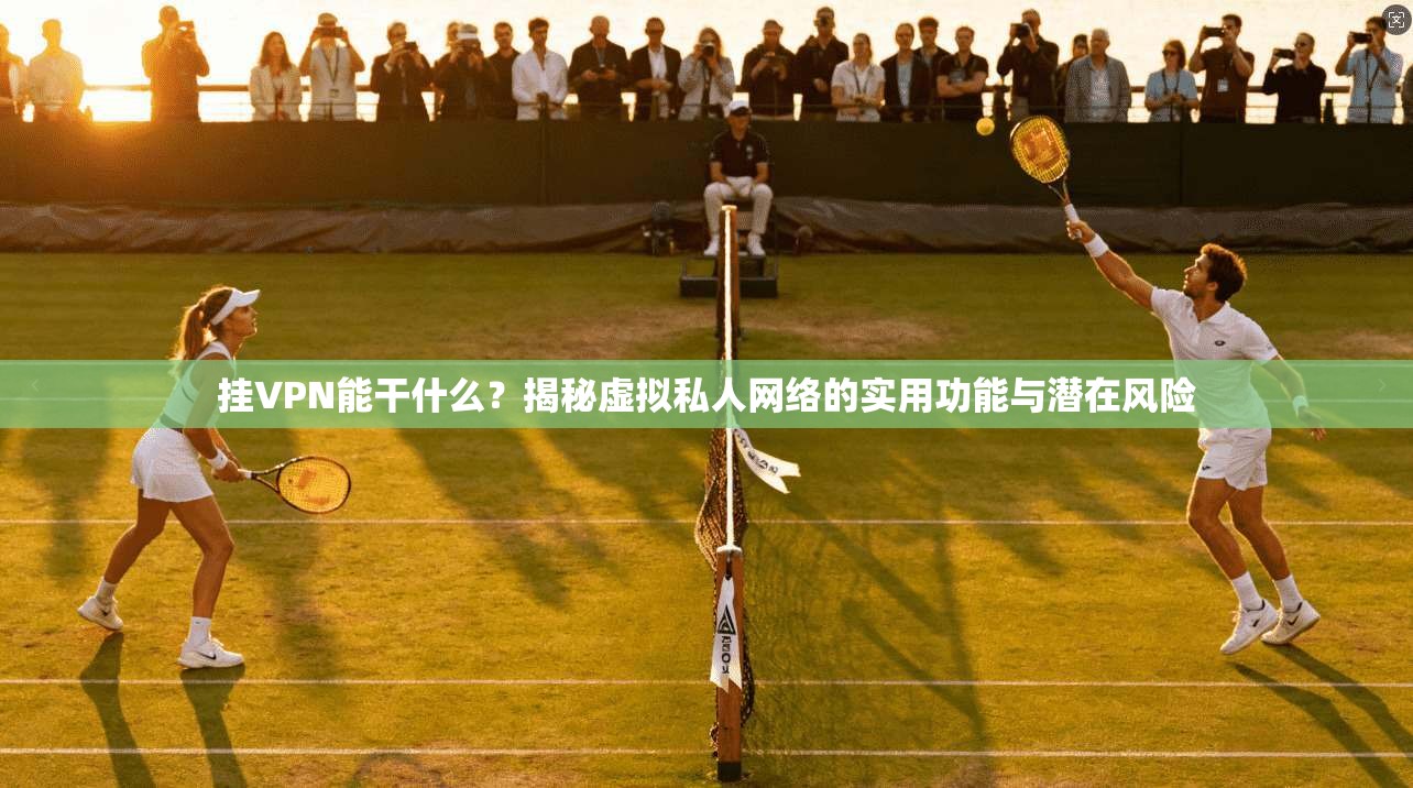 挂VPN能干什么？揭秘虚拟私人网络的实用功能与潜在风险
